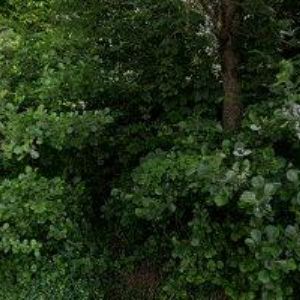 obrazek: avatar ALENA DVOŘÁČKOVÁ