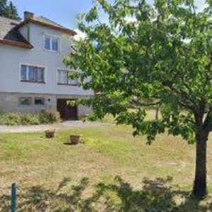 obrazek: avatar DARINA RYBÍNOVÁ