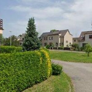 obrazek: avatar MICHAL KAIN