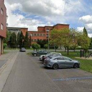 obrazek: avatar ZÁKLADNÍ ORGANIZACE ČESKÉHO ZAHRÁDKÁŘSKÉHO SVAZU MÁJ