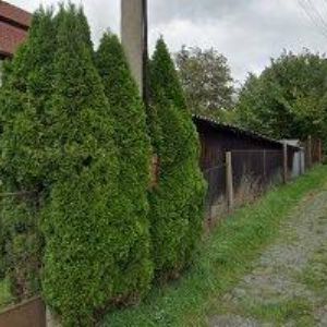 obrazek: avatar DANA VEJNÁRKOVÁ