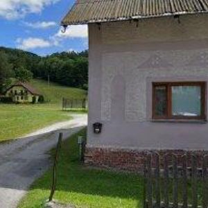 obrazek: avatar PETR SEIFERT