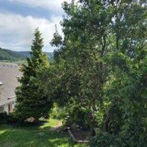 obrazek: avatar ONDŘEJ GREGOR