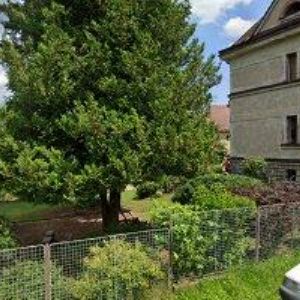 obrazek: avatar NATALIE BREJCHOVÁ