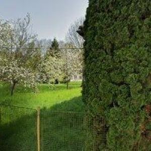 obrazek: avatar NIKOLA OLÁHOVÁ