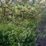 SPOLEK ŠPORKŮV POPLUŽNÍ DVŮR