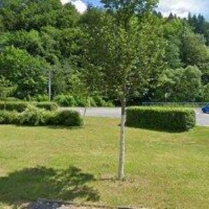 obrazek: avatar MIROSLAV KNĚZ