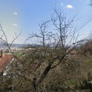 obrazek: avatar BRAUNŮV BETLÉM