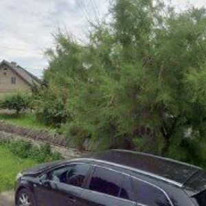 obrazek: avatar MICHAL LOKOTA