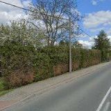 ALŽBĚTA PLUHAŘOVÁ