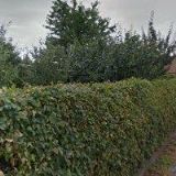 BC. KRISTÝNA PETŘÍKOVÁ