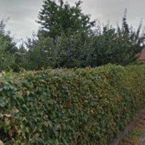 obrazek: avatar BC. KRISTÝNA PETŘÍKOVÁ