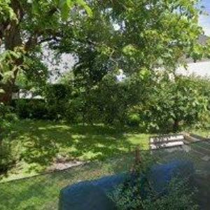 obrazek: avatar ČESKOSLOVENŠTÍ LVI