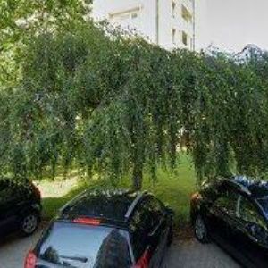 obrazek: avatar PAVEL KUNEŠ