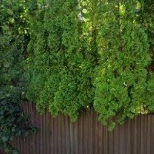 obrazek: avatar BC. LUDVÍK BERGER