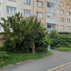 obrazek: avatar PROCHÁZKA PAVEL-EZV MONT