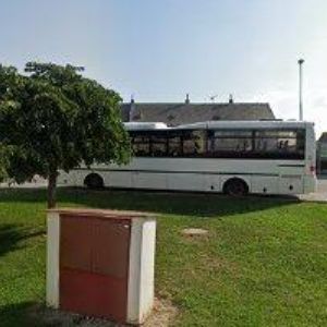 obrazek: avatar CIBULKA FIVE