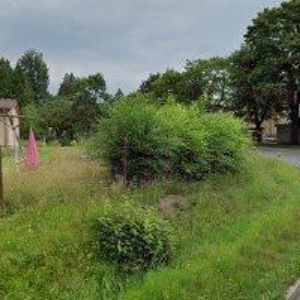 obrazek: avatar MICHAL KRUPA