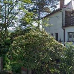 obrazek: avatar MICHAL ŠROM