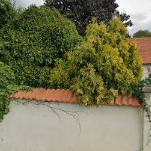 obrazek: avatar ŠVEC VLADIMÍR