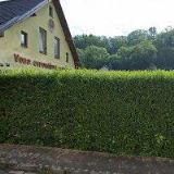 AKADEMIE FREESTYLE LYŽOVÁNÍ