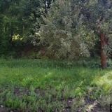 BASE LINES AND CONSTRUCTION