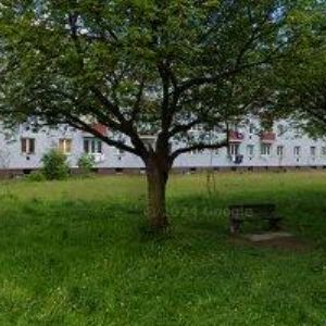 obrazek: avatar PŘEMYSL PLAŠIL