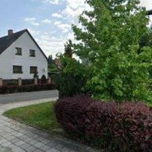 obrazek: avatar ČESKÝ SVAZ CHOVATELŮ, SPECIALIZOVANÁ ORGANIZACE CHOVATELŮ KOČEK TRUTNOV