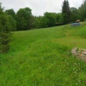 obrazek: avatar MONIKA SYROVÁ