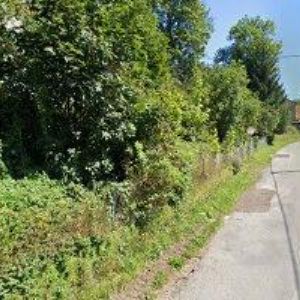 obrazek: avatar PETRA LECNAROVÁ