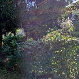 obrazek: avatar MICHAL JARÝ