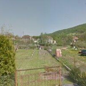 obrazek: avatar 2 K BAITS