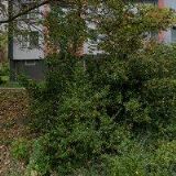 HODINOVÝ MANŽEL DOMAKOV