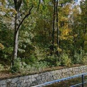 obrazek: avatar SEVEROČESKÁ PAPÍRNA , s.r.o.