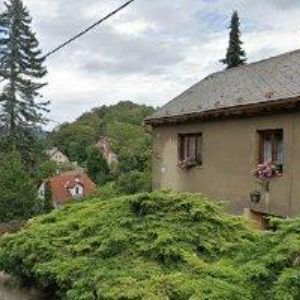 obrazek: avatar ZŠ RABASOVA