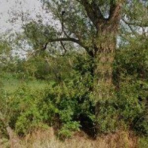 obrazek: avatar PROFI CONSTRUCT