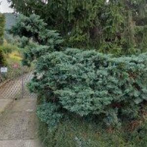 obrazek: avatar UHELNÉ SKLADY-HLAVÁČ , spol. s r.o.