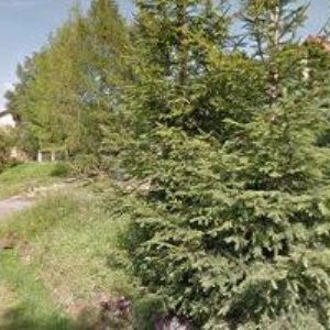 obrazek: avatar HARYCH JIŘÍ