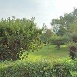 VIBRO FOR YOU s.r.o.