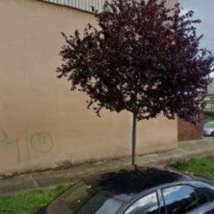 obrazek: avatar MRÁZ JAROSLAV-STŘECHY