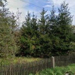 obrazek: avatar PELANT JOSEF Ing.