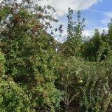 AUTOSTAR SERVIS , s.r.o.