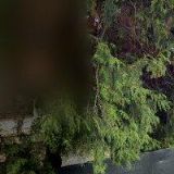 VODIČKA LUDĚK-ŠROUBEK