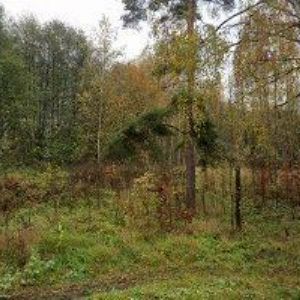 obrazek: avatar MK-REVIZE s.r.o.