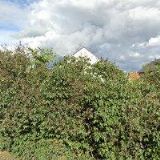 KLEMENT JOSEF s.r.o.