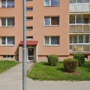 obrazek: avatar SAUNEO