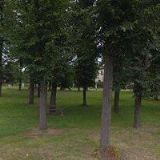 PUFFLER STANISLAV-OPENMAGE