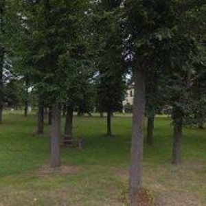 obrazek: avatar PUFFLER STANISLAV-OPENMAGE