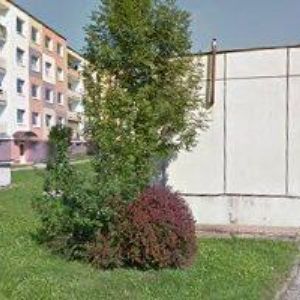 obrazek: avatar SMARTFOX