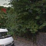 BINDER VLADIMÍR, UMA